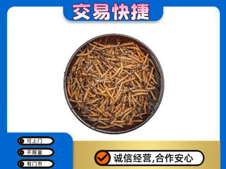 随州礼品回收虫草.jpg